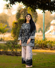 DILRUBA TRENDING ARTICLE 2PC
