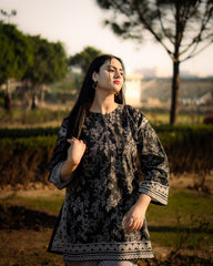 DILRUBA TRENDING ARTICLE 2PC