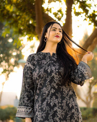 DILRUBA TRENDING ARTICLE 2PC